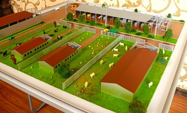 Exhibition layout of the farm