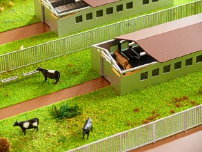 Mini-farm on the layout is shown in section with a heater