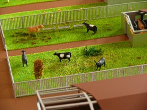Drinkers on the farm layout