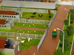 On the farm layout is shown a house